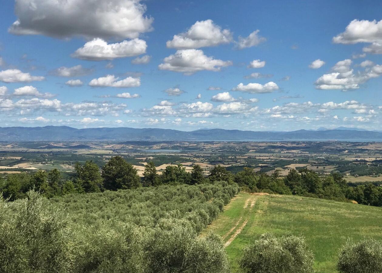 Villa Borgo Poggio Bianco Sarteano Exterior foto